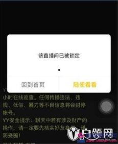 最新爆料利哥视频大全在线观看,热门爆料尽收眼底