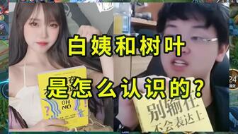 白姨最新爆料视频大全下载,揭秘娱乐圈不为人知的一面