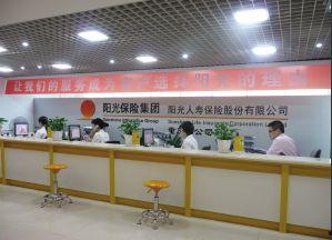 青岛最新爆料头条新闻,重大事件引发社会关注！