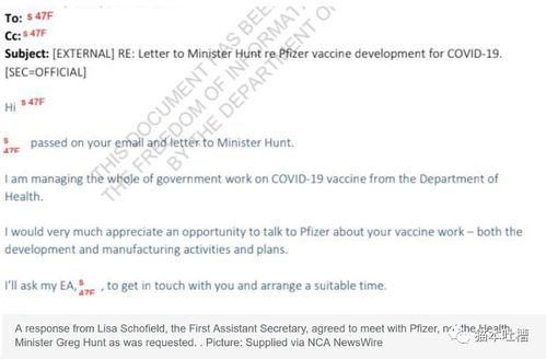 辉瑞高管爆料最新消息,疫苗研发进展及市场策略大揭秘