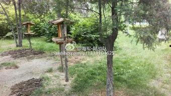 长春美人松街最新爆料,揭秘老街新颜，漫步时光隧道