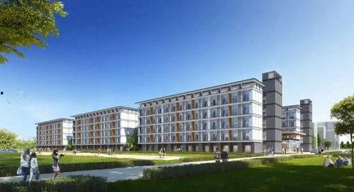 小邮大爆料最新,最新热点事件深度解析