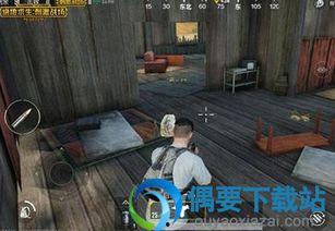 吃鸡手游爆料最新版,全新内容大揭秘，带你领略极致战斗体验！